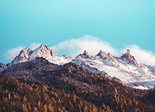 开云体育官网——畅享安全、便捷、尊贵的线上娱乐体验